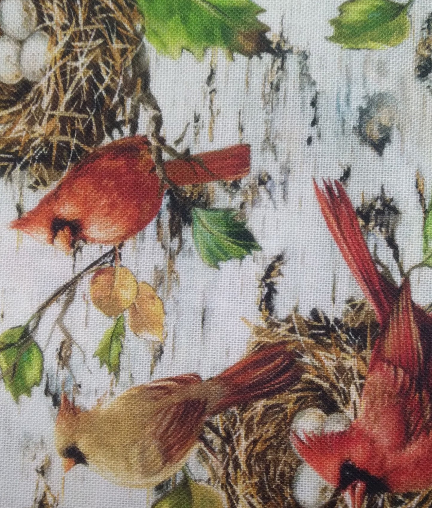 Timeless Treasures DONA-CD4269 BIRCH