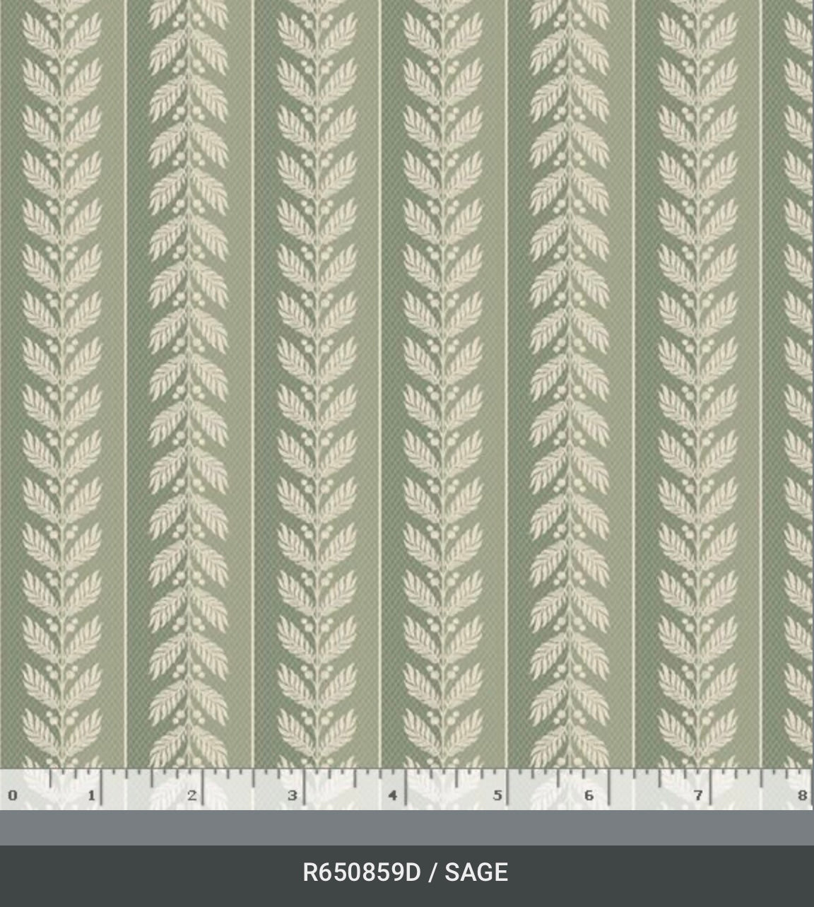 Botanical Journal Smithsonian Institution R650859D Sage