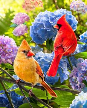 Cardinals and Hydrangea Panel 24” x WOF