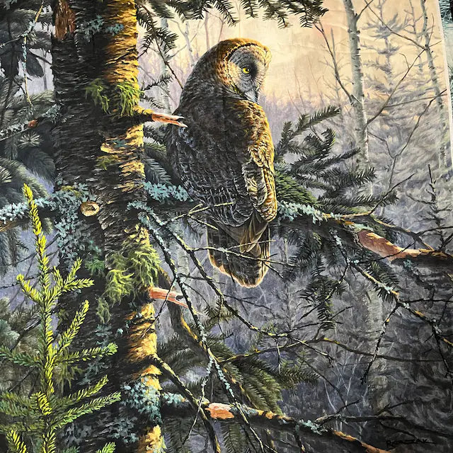 Bureal Owl Panel 36” x 45”
