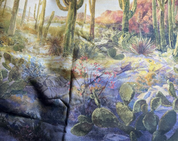 Southwestern Skies Panel