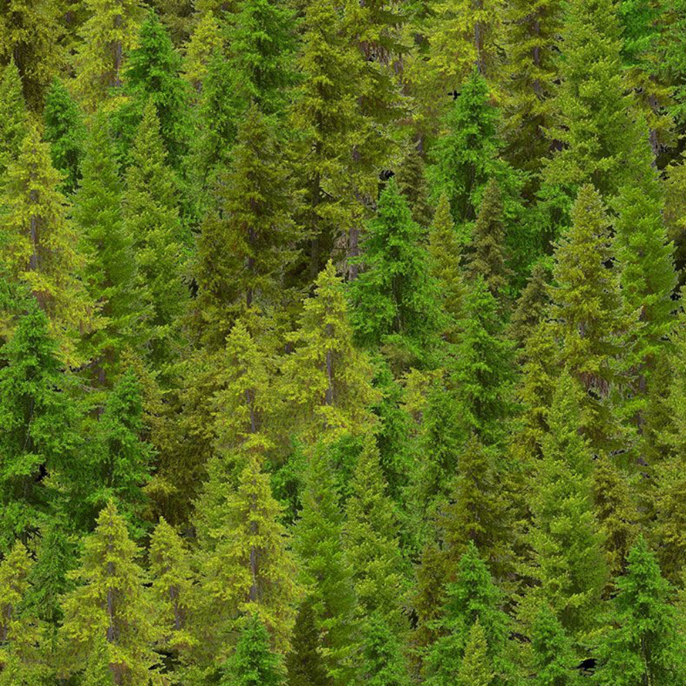 Timeless Treasures Woodland Retreat Collection Nature-CD3831 Forest