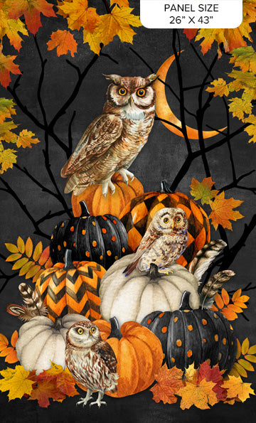 Northcott Silk USA Night Owl Charcoal Multi Panel DP28842-96