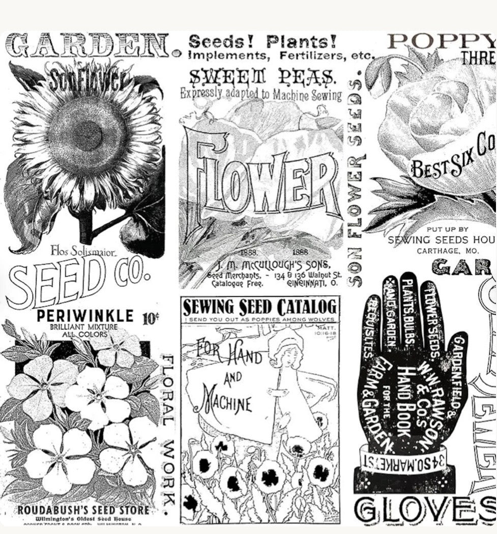 Riley Blake Designs Sewing Seeds III by J. Wecker Frisch C15690 White