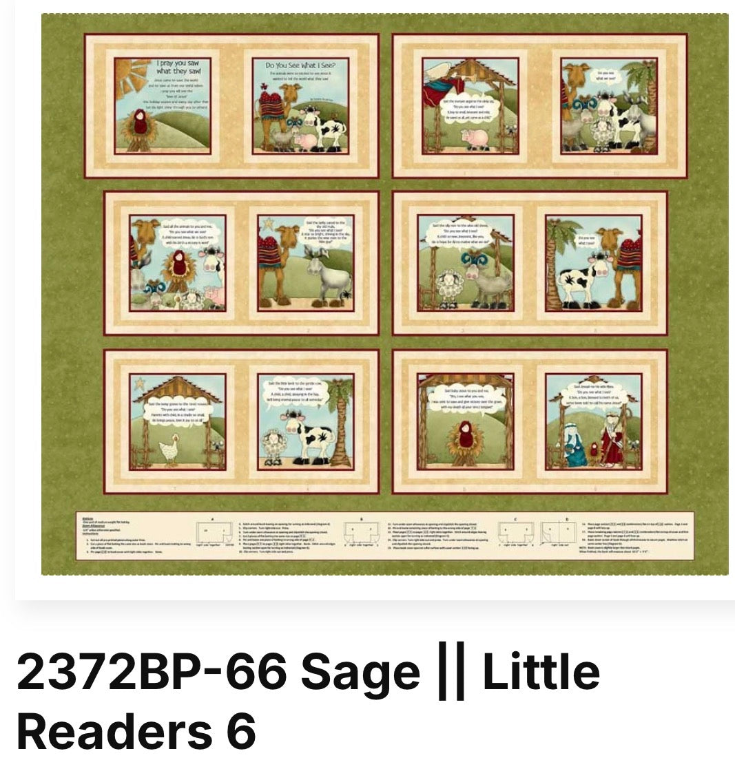 Little Readers 6 by Leanne Anderson and Kaytlyn Kuebler “Do You See What I See” Patt# 2372BP Col# 66 Sage