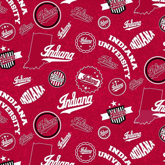 Sykel Enterprises NCAA-Indiana Hoosiers Home State Pattern IND1208