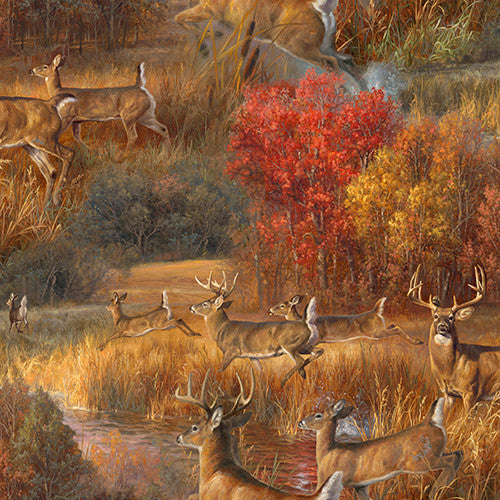 3 Wishes Whitetail Country 22202-MLT-CTN-D Frolicking Deer