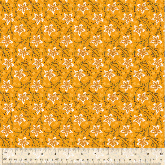 Circa: Sharp Cheddar Bloom Burst 54189-4 Cheddar