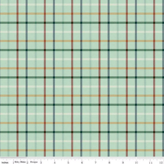 Plaid-Venture Club C17047-Fern