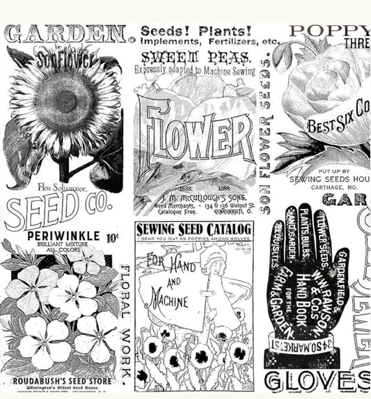 Riley Blake Designs Sewing Seeds III by J. Wecker Frisch C15690 White